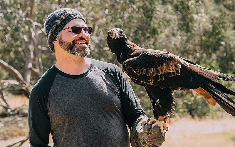 kangaroo island raptor domain wildlife birds eagle experience 